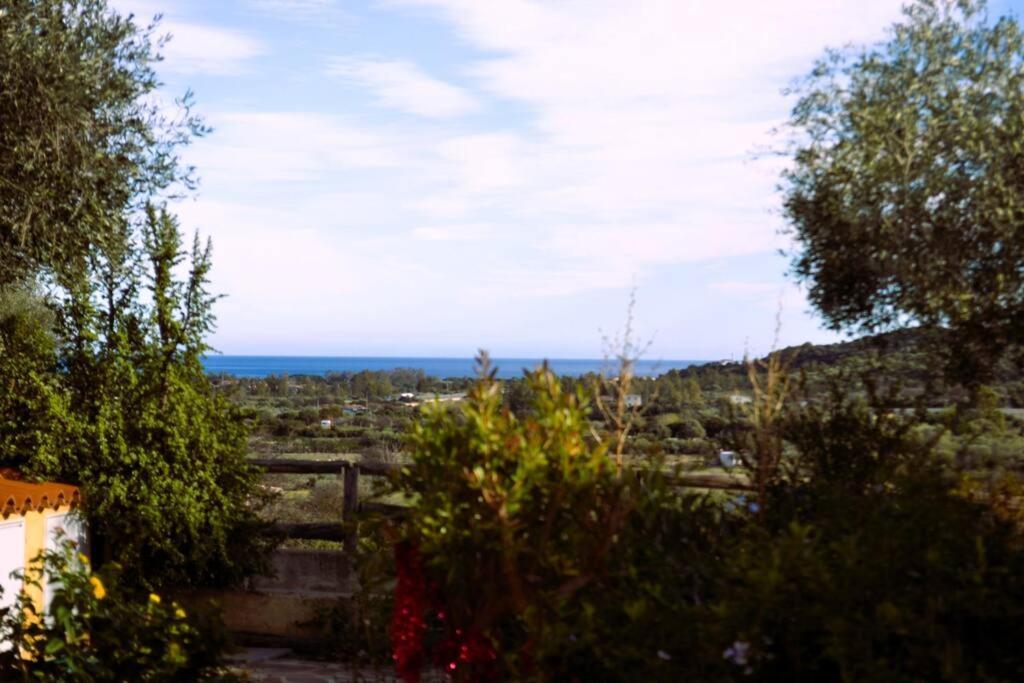 La Casa Di Eve Villa Budoni Dış mekan fotoğraf