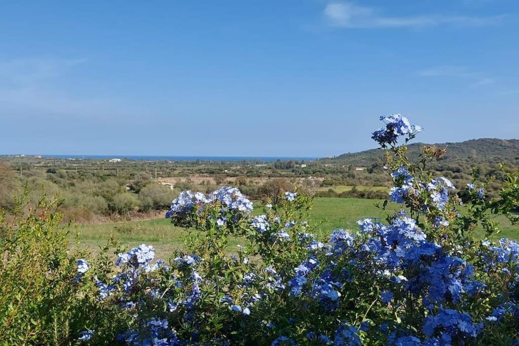 La Casa Di Eve Villa Budoni Dış mekan fotoğraf