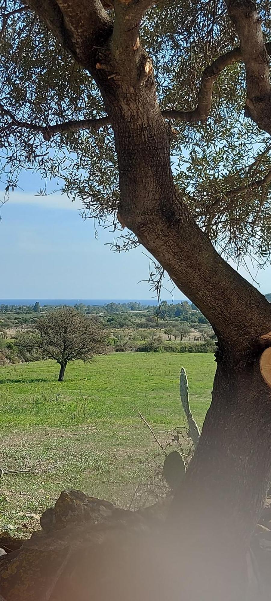 La Casa Di Eve Villa Budoni Dış mekan fotoğraf