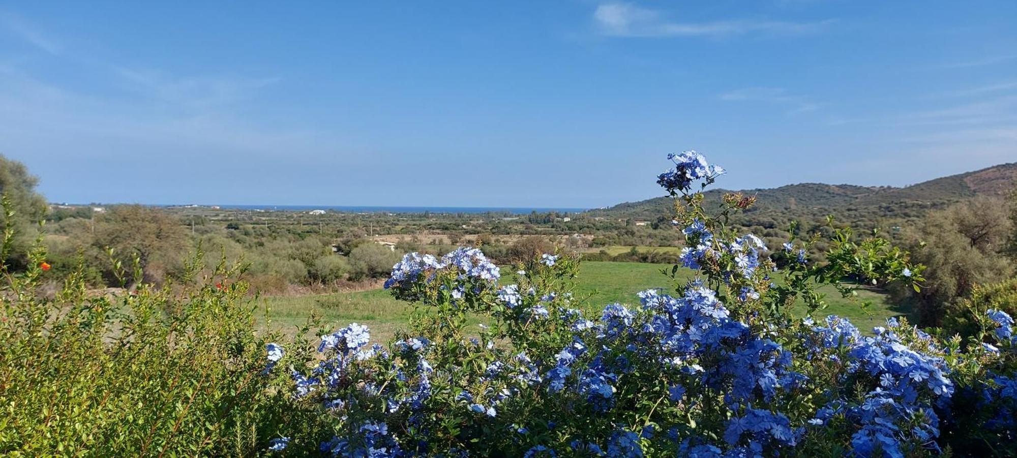 La Casa Di Eve Villa Budoni Dış mekan fotoğraf